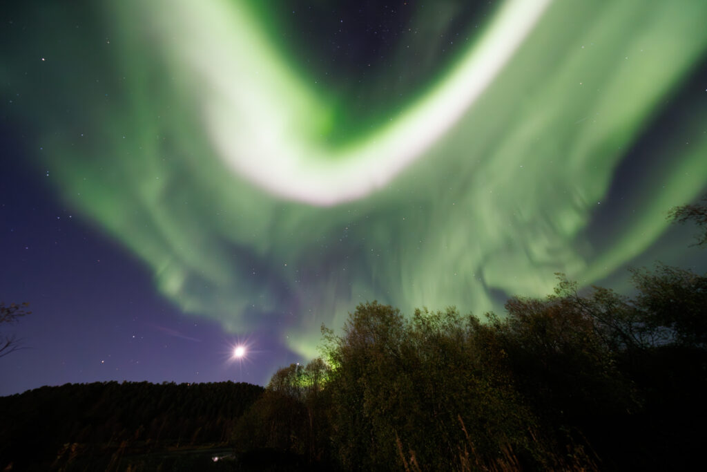 Aufgenommen: 24.09.2024 20:37 | Gerät: Canon EOS R5 | Belichtungszeit: 32/10 s | Blende: f/4.0 | ISO: 6400 | Blitz: nein