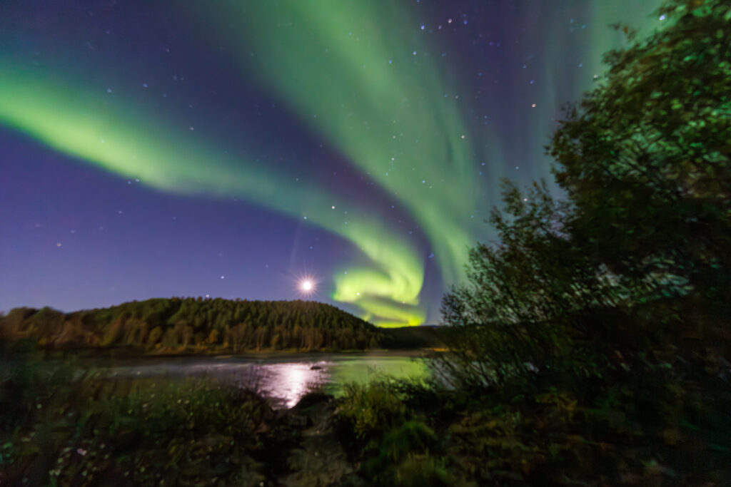 Aufgenommen: 24.09.2024 20:41 | Gerät: Canon EOS R5 | Belichtungszeit: 32/10 s | Blende: f/4.0 | ISO: 6400 | Blitz: nein