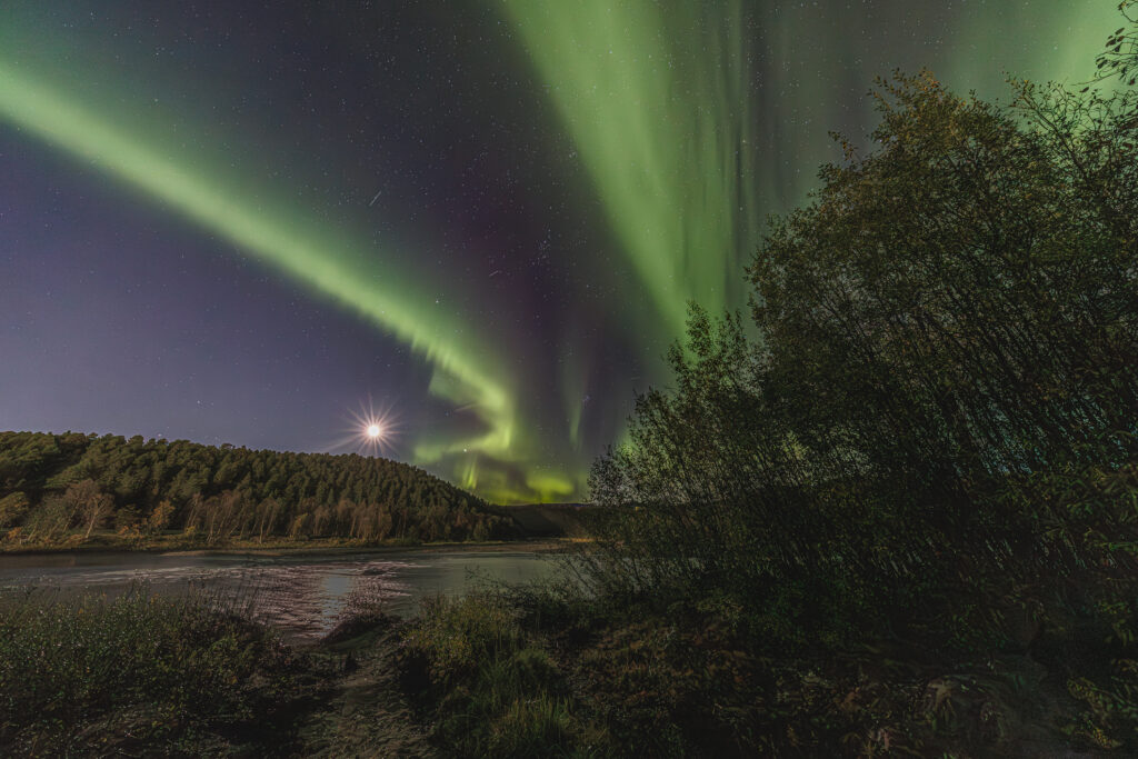 Aufgenommen: 24.09.2024 20:43 | Gerät: Canon EOS R5 | Belichtungszeit: 5/1 s | Blende: f/4.0 | ISO: 8000 | Blitz: nein