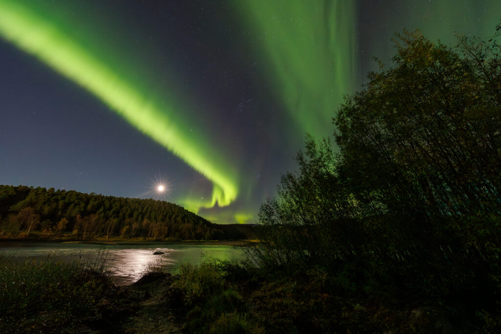 Aufgenommen: 24.09.2024 20:43 | Gerät: Canon EOS R5 | Belichtungszeit: 5/1 s | Blende: f/4.0 | ISO: 3200 | Blitz: nein
