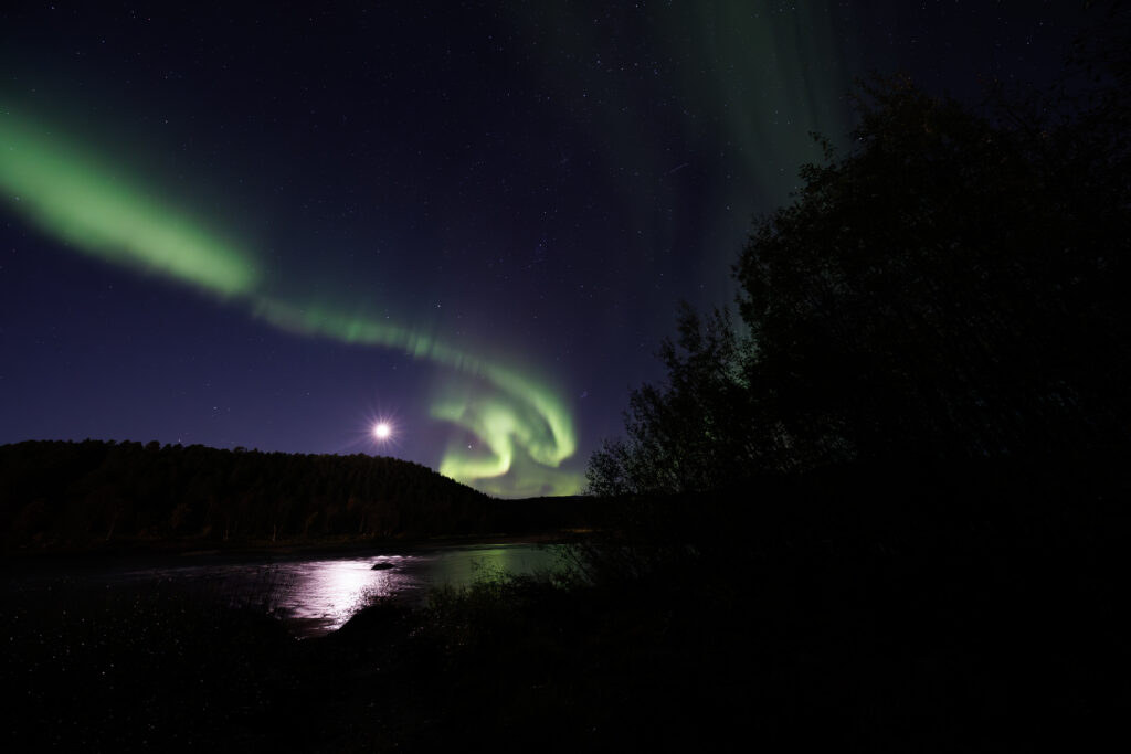 Aufgenommen: 24.09.2024 20:44 | Gerät: Canon EOS R5 | Belichtungszeit: 5/1 s | Blende: f/4.0 | ISO: 3200 | Blitz: nein