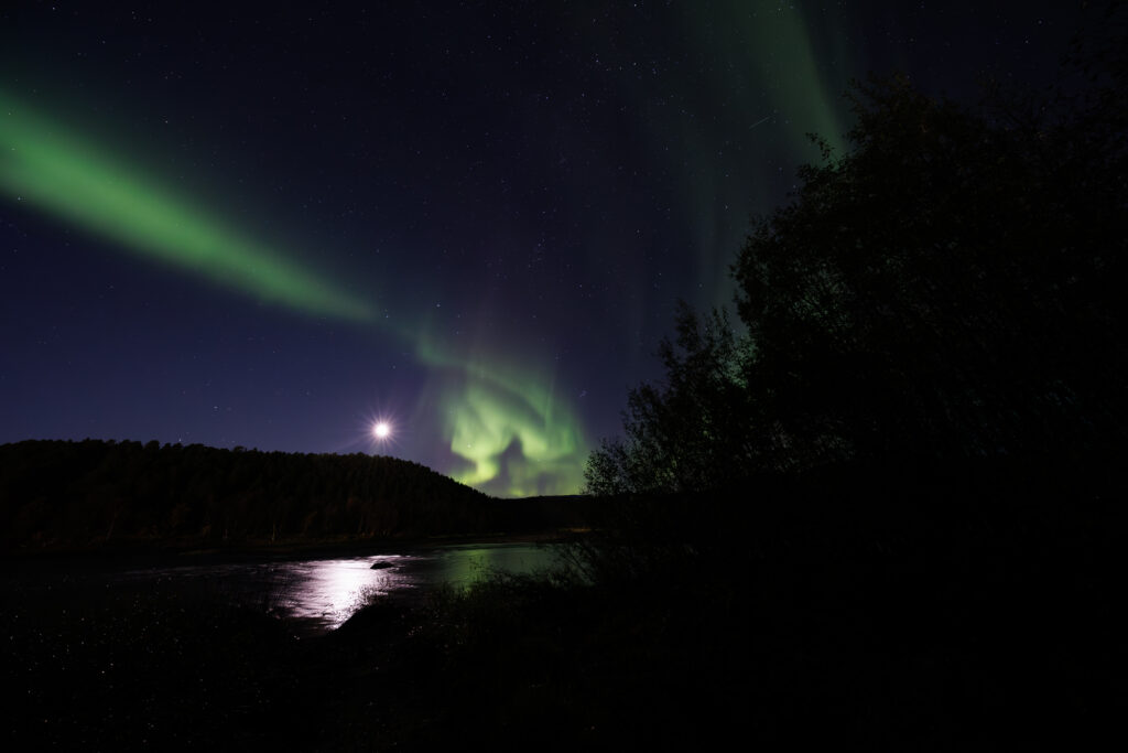 Aufgenommen: 24.09.2024 20:44 | Gerät: Canon EOS R5 | Belichtungszeit: 5/1 s | Blende: f/4.0 | ISO: 3200 | Blitz: nein