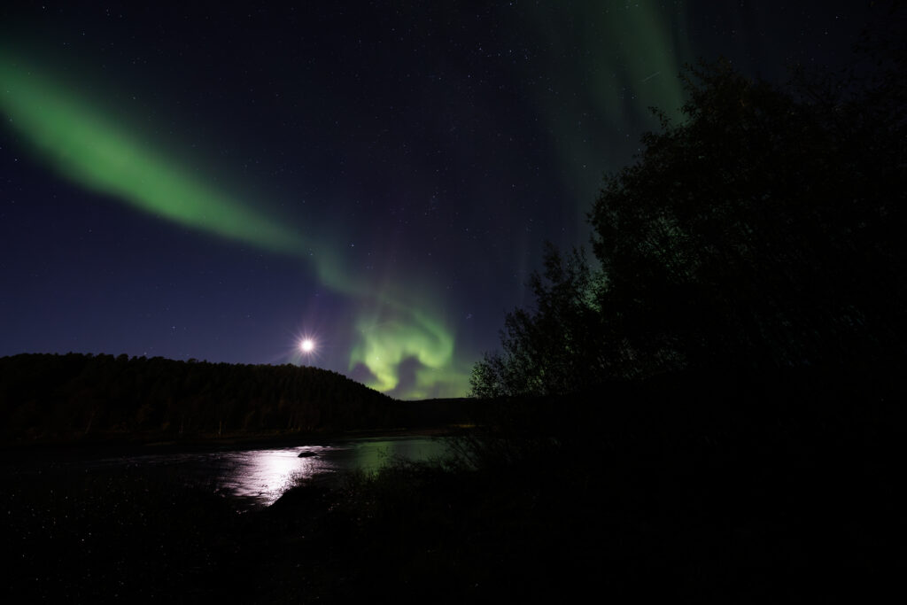 Aufgenommen: 24.09.2024 20:44 | Gerät: Canon EOS R5 | Belichtungszeit: 5/1 s | Blende: f/4.0 | ISO: 3200 | Blitz: nein