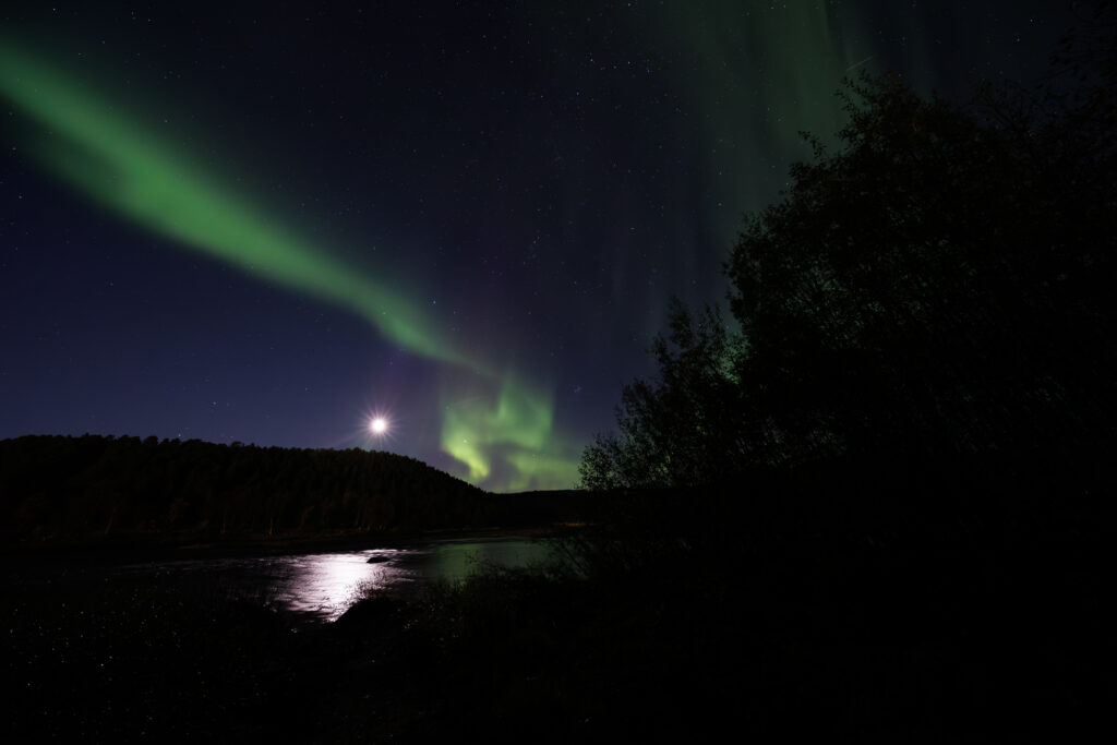 Aufgenommen: 24.09.2024 20:45 | Gerät: Canon EOS R5 | Belichtungszeit: 5/1 s | Blende: f/4.0 | ISO: 3200 | Blitz: nein