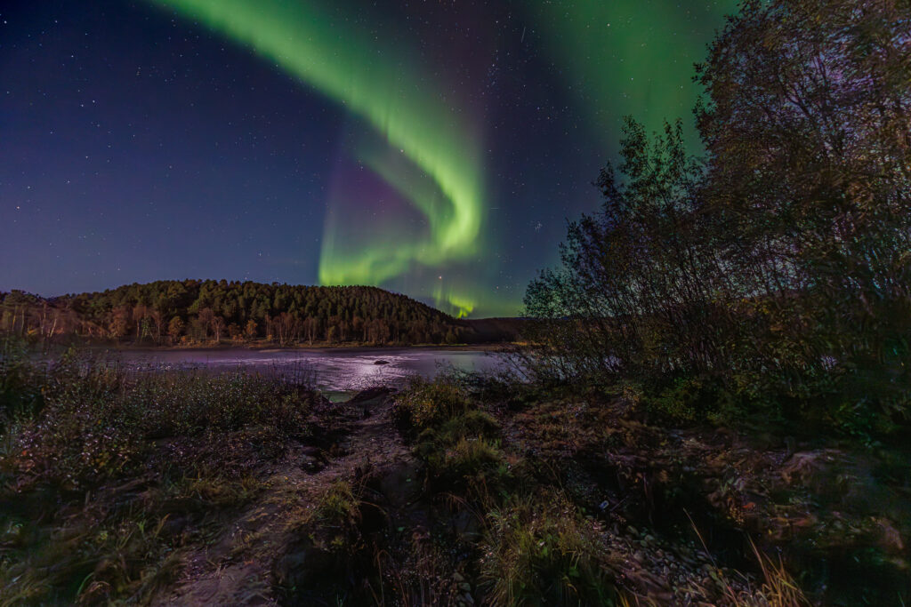 Aufgenommen: 24.09.2024 20:49 | Gerät: Canon EOS R5 | Belichtungszeit: 5/1 s | Blende: f/4.0 | ISO: 1600 | Blitz: nein