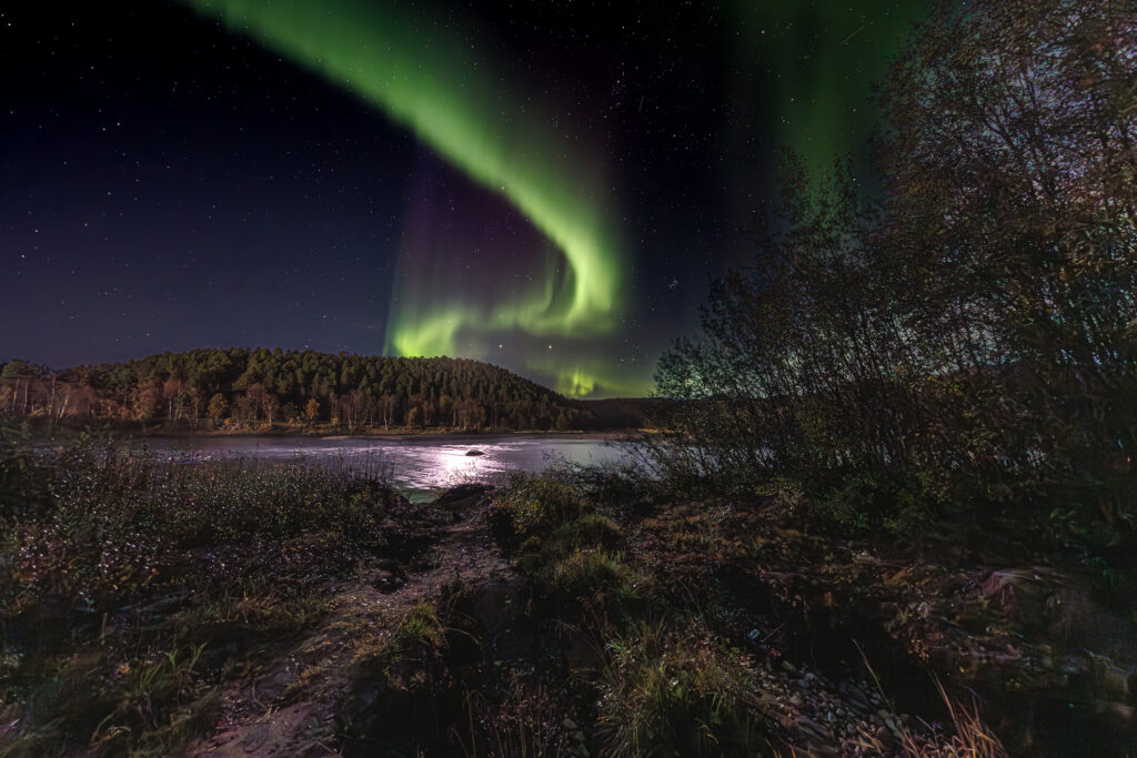 Aufgenommen: 24.09.2024 20:49 | Gerät: Canon EOS R5 | Belichtungszeit: 5/1 s | Blende: f/4.0 | ISO: 1600 | Blitz: nein