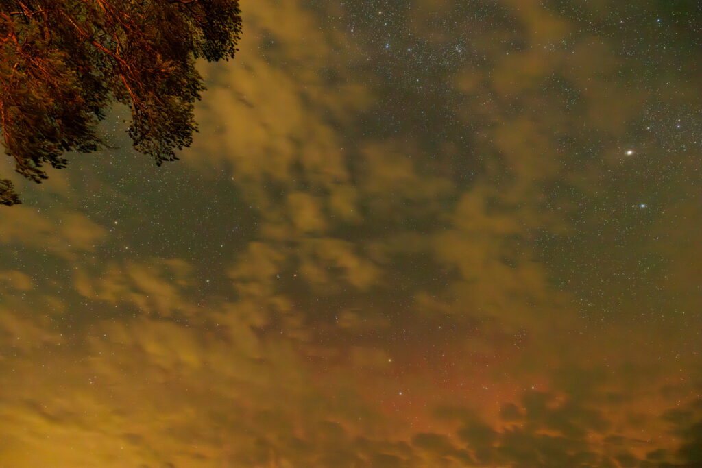 Aufgenommen: 03.10.2024 23:50 | Gerät: Canon EOS R5 | Belichtungszeit: 10/1 s | Blende: f/4.5 | ISO: 6400 | Blitz: nein