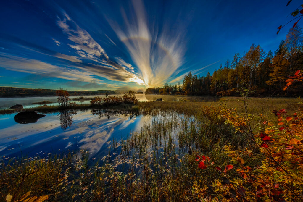 Aufgenommen: 22.09.2024 06:47 | Gerät: Canon EOS R5 | Belichtungszeit: 1/60 s | Blende: f/22.0 | ISO: 320 | Blitz: nein