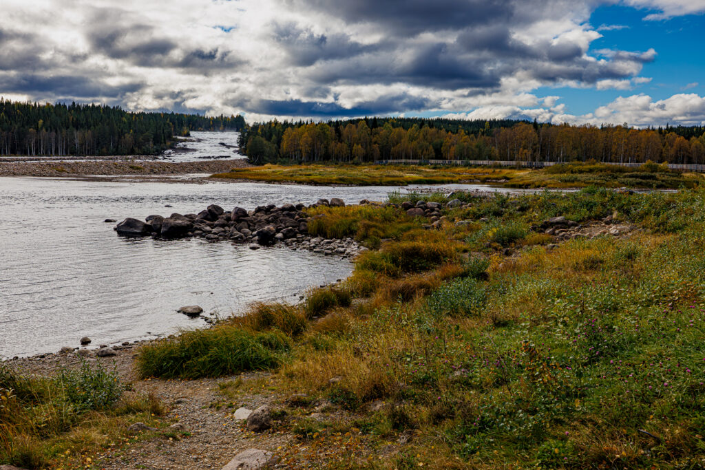 Aufgenommen: 21.09.2024 12:14 | Gerät: Canon EOS R5 | Belichtungszeit: 1/1600 s | Blende: f/8.0 | ISO: 640 | Blitz: nein