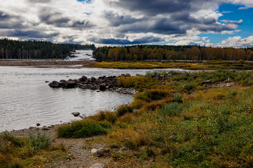 Aufgenommen: 21.09.2024 12:14 | Gerät: Canon EOS R5 | Belichtungszeit: 1/1600 s | Blende: f/8.0 | ISO: 640 | Blitz: nein