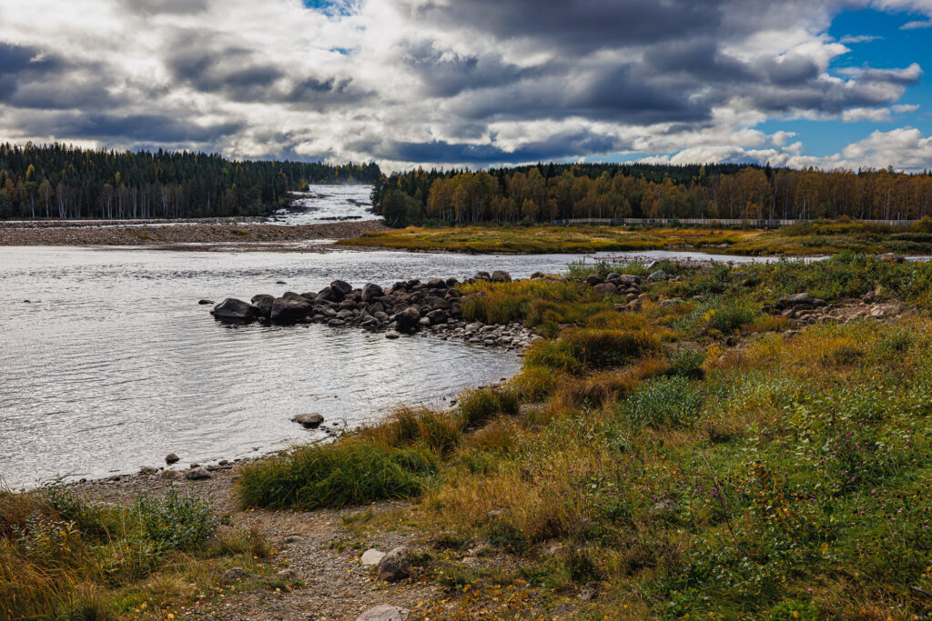 Aufgenommen: 21.09.2024 12:14 | Gerät: Canon EOS R5 | Belichtungszeit: 1/2000 s | Blende: f/8.0 | ISO: 640 | Blitz: nein