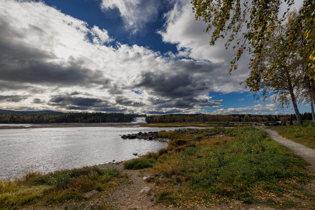 Aufgenommen: 21.09.2024 12:15 | Gerät: Canon EOS R5 | Belichtungszeit: 1/3200 s | Blende: f/8.0 | ISO: 640 | Blitz: nein