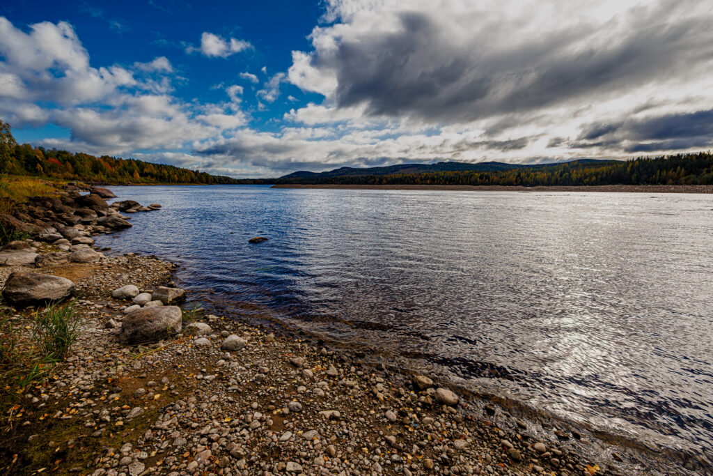 Aufgenommen: 21.09.2024 12:16 | Gerät: Canon EOS R5 | Belichtungszeit: 1/1600 s | Blende: f/8.0 | ISO: 640 | Blitz: nein