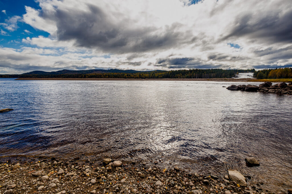 Aufgenommen: 21.09.2024 12:16 | Gerät: Canon EOS R5 | Belichtungszeit: 1/1250 s | Blende: f/8.0 | ISO: 640 | Blitz: nein