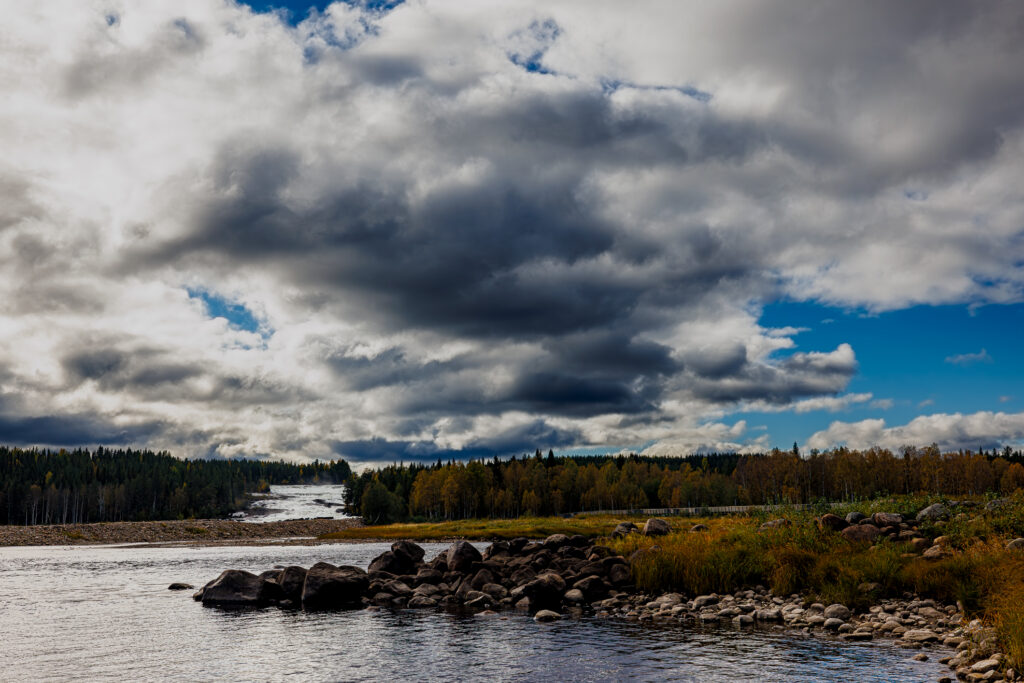 Aufgenommen: 21.09.2024 12:16 | Gerät: Canon EOS R5 | Belichtungszeit: 1/2000 s | Blende: f/8.0 | ISO: 640 | Blitz: nein