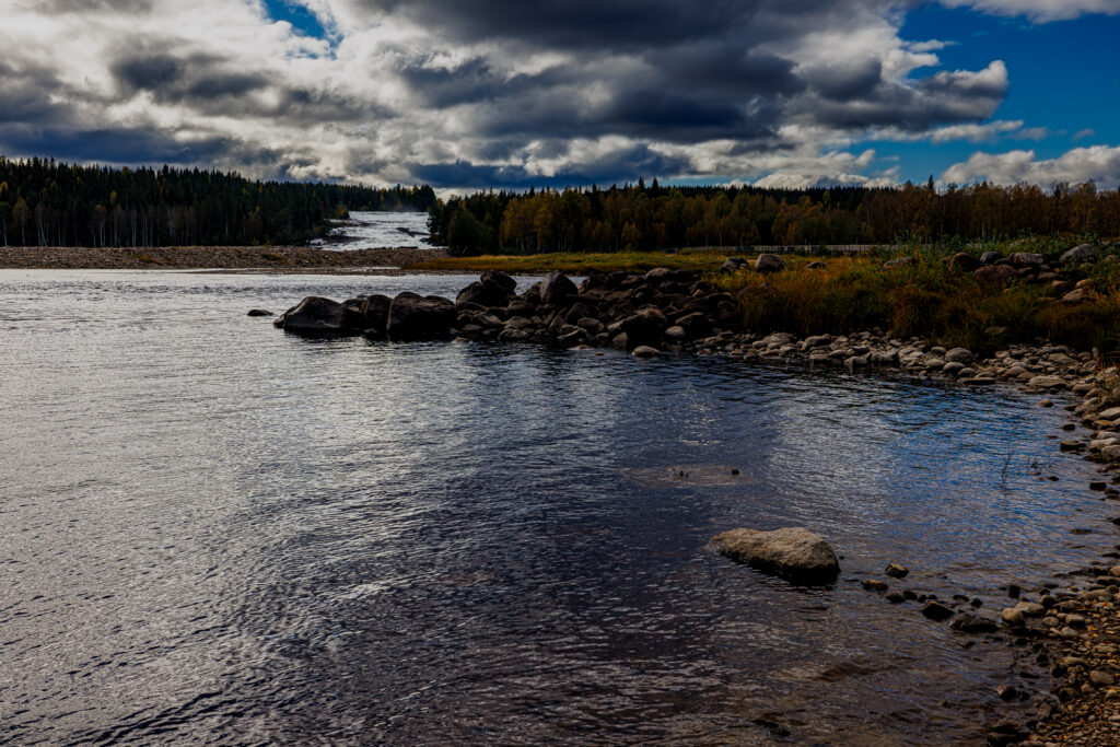 Aufgenommen: 21.09.2024 12:16 | Gerät: Canon EOS R5 | Belichtungszeit: 1/2500 s | Blende: f/8.0 | ISO: 640 | Blitz: nein