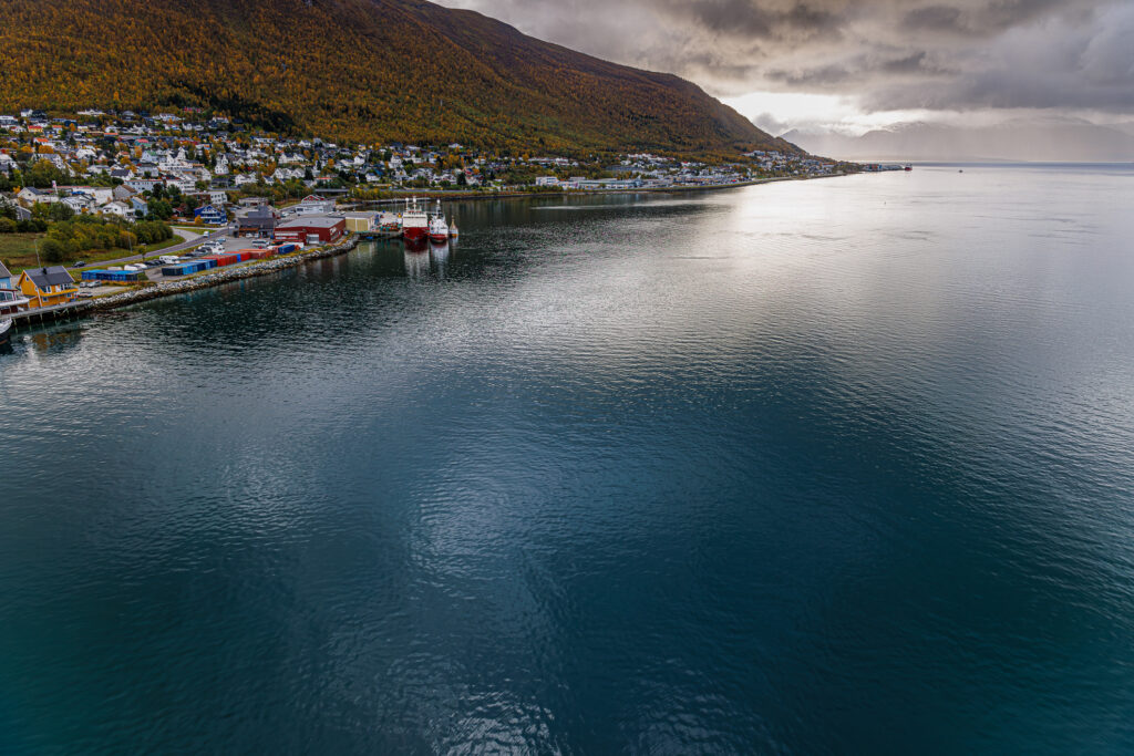 Aufgenommen: 26.09.2024 12:16 | Gerät: Canon EOS R5 | Belichtungszeit: 1/250 s | Blende: f/5.6 | ISO: 200 | Blitz: nein
