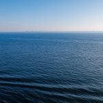 Canon EOS R5 2025-03-07 09:44:14 f/11 1/400sec ISO-200 33mm