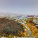 Canon EOS R5 2025-03-08 08:02:14 f/5.6 1/200sec ISO-200 24mm