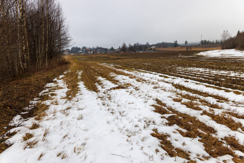 Aufgenommen: 09.03.2025 10:25 | Gerät: Canon EOS R5 | Belichtungszeit: 1/250 s | Blende: f/8.0 | ISO: 200 | Blitz: nein