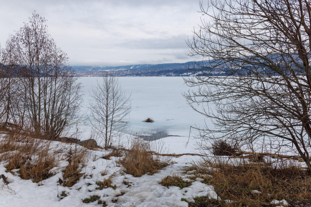 Aufgenommen: 09.03.2025 14:09 | Gerät: Canon EOS R5 | Belichtungszeit: 1/640 s | Blende: f/8.0 | ISO: 200 | Blitz: nein