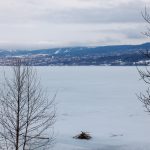 Canon EOS R5 2025-03-09 13:09:19 f/8 1/640sec ISO-200 53mm