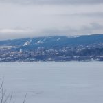 Canon EOS R5 2025-03-09 13:09:24 f/8 1/640sec ISO-200 105mm