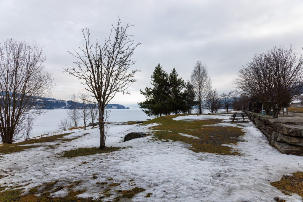 Aufgenommen: 09.03.2025 14:09 | Gerät: Canon EOS R5 | Belichtungszeit: 1/800 s | Blende: f/8.0 | ISO: 200 | Blitz: nein