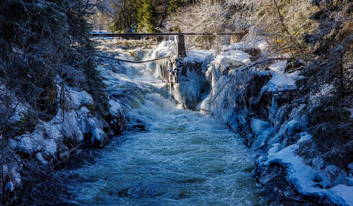 Canon EOS R5 2025-03-10 10:19:53 f/8 1/200sec ISO-200 60mm