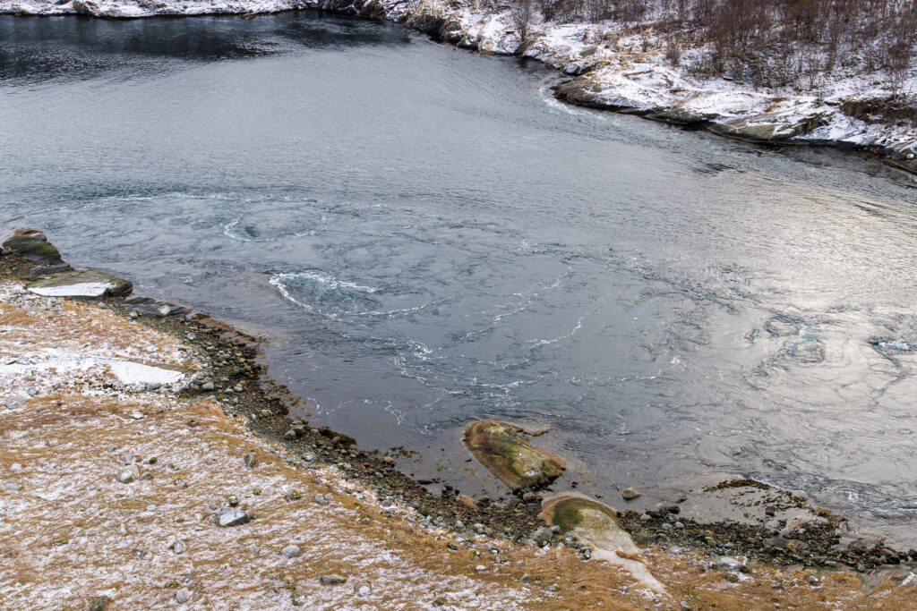 Aufgenommen: 11.03.2025 14:44 | Gerät: Canon EOS R5 | Belichtungszeit: 1/250 s | Blende: f/9.0 | ISO: 400 | Blitz: nein