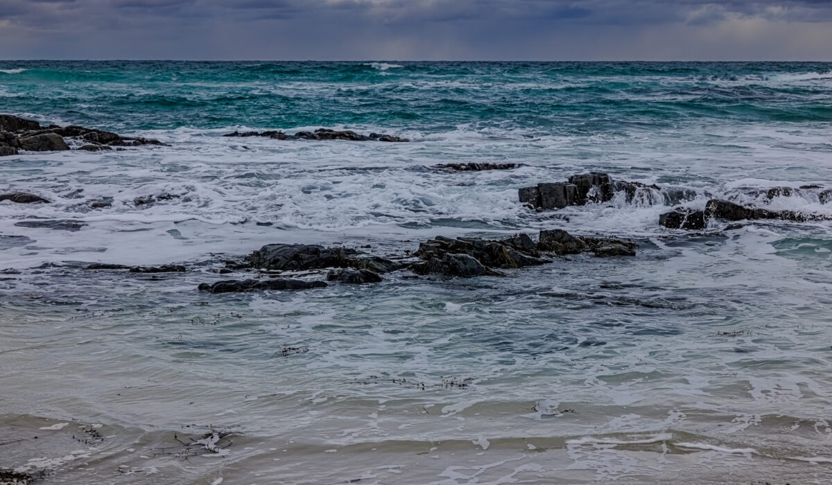 Canon EOS R5 2025-03-14 09:24:19 f/8 1/500sec ISO-400 64mm