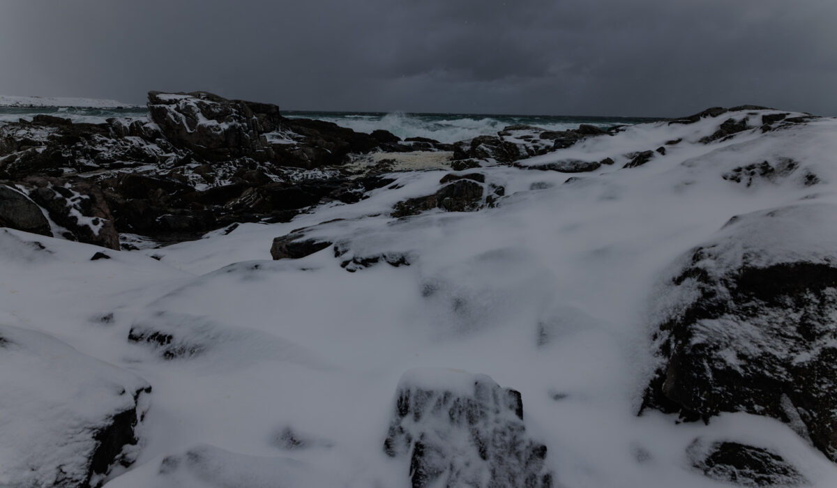 Canon EOS R5 2025-03-15 09:10:32 f/8 1/500sec ISO-200 24mm