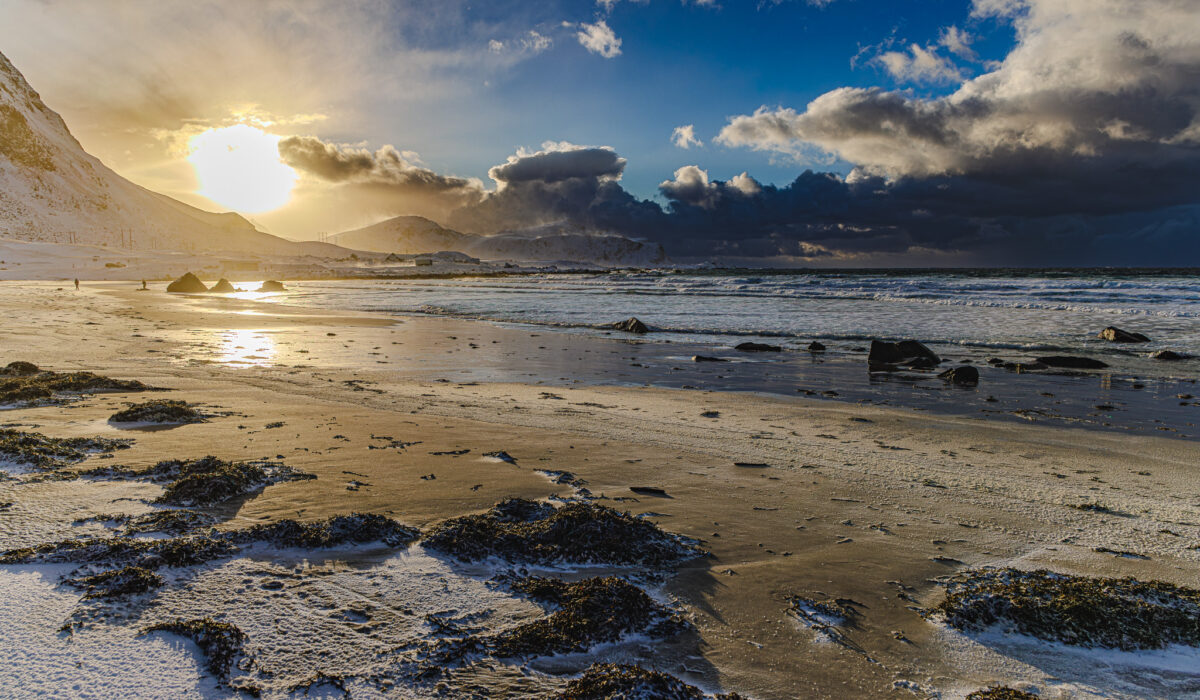 Canon EOS R5 2025-03-15 15:47:23 f/4.5 1/2000sec ISO-200 24mm