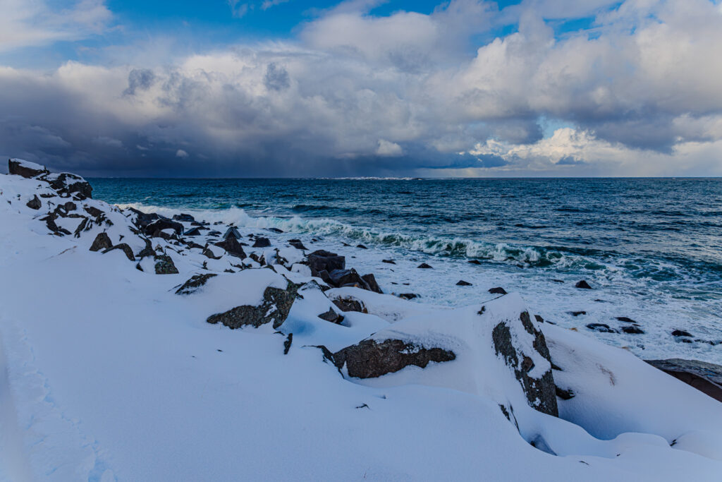 Aufgenommen: 16.03.2025 13:36 | Gerät: Canon EOS R5 | Belichtungszeit: 1/500 s | Blende: f/8.0 | ISO: 200 | Blitz: nein