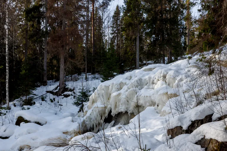 Viksjö, Schweden – Reisefoto vom 5. März 2026, Aufnahme 7