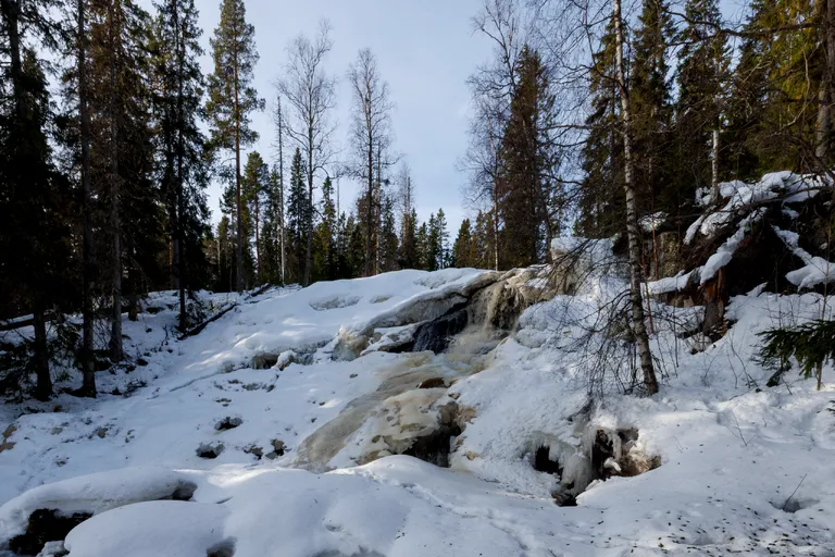 Viksjö, Schweden – Reisefoto vom 5. März 2026, Aufnahme 8
