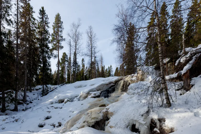 Viksjö, Schweden – Reisefoto vom 5. März 2026, Aufnahme 11