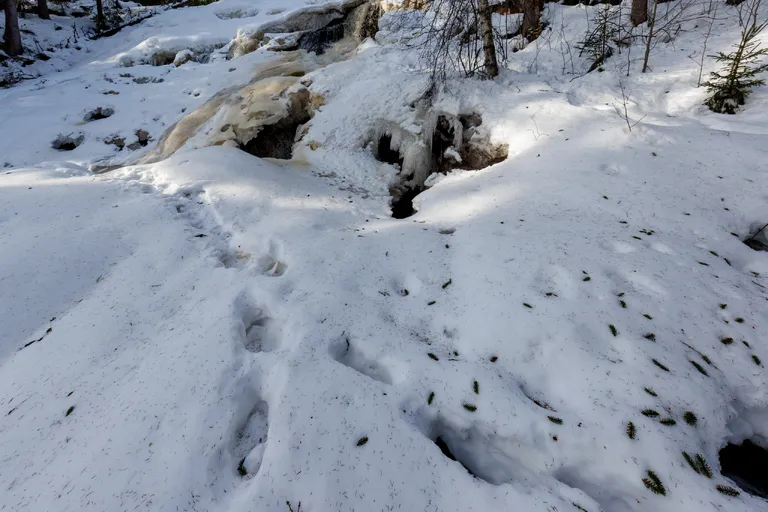 Viksjö, Schweden – Reisefoto vom 5. März 2026, Aufnahme 18