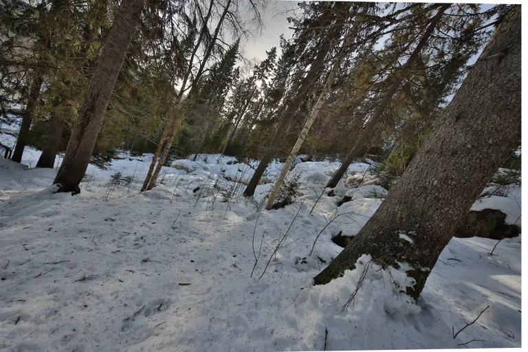 Viksjö, Schweden – Reisefoto vom 5. März 2026, Aufnahme 21