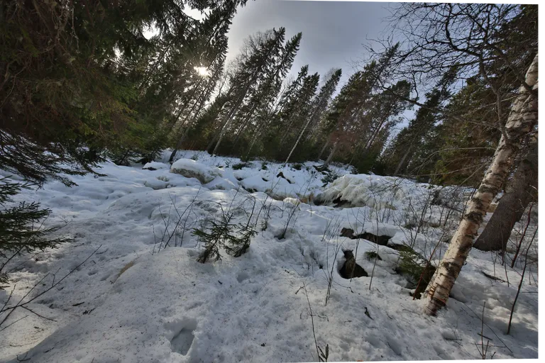 Viksjö, Schweden – Reisefoto vom 5. März 2026, Aufnahme 23