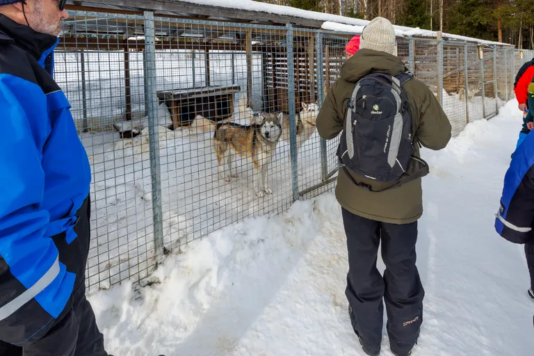 Övertorneå, Schweden – Reisefoto vom 8. März 2026, Aufnahme 2