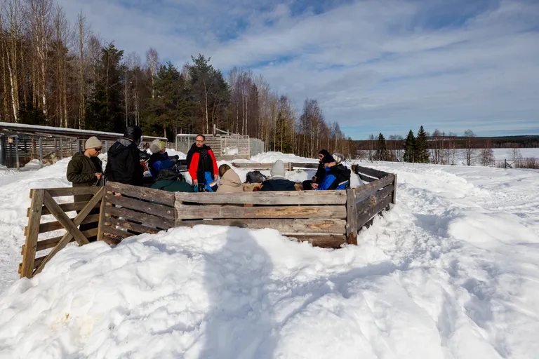 Övertorneå, Schweden – Reisefoto vom 8. März 2026, Aufnahme 7