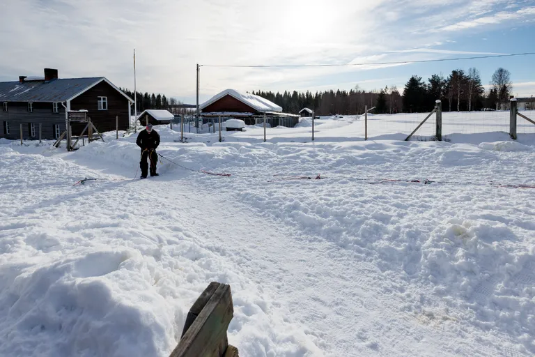 Övertorneå, Schweden – Reisefoto vom 8. März 2026, Aufnahme 8