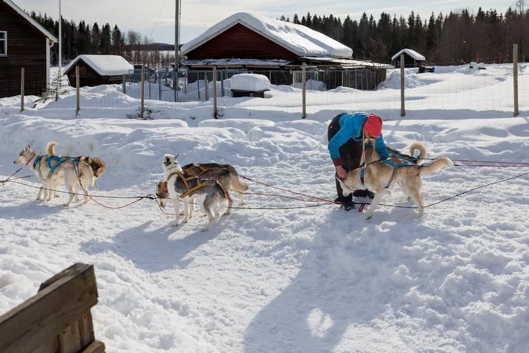 Övertorneå, Schweden – Reisefoto vom 8. März 2026, Aufnahme 18
