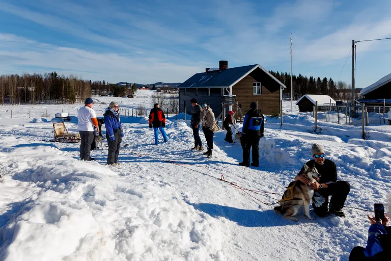 Övertorneå, Schweden – Reisefoto vom 8. März 2026, Aufnahme 31