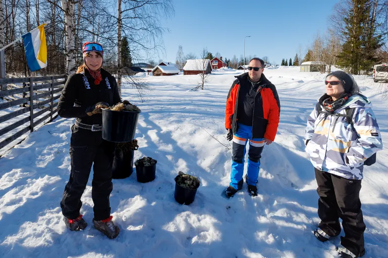 Juoksengi, Schweden – Reisefoto vom 9. März 2026, Aufnahme 29