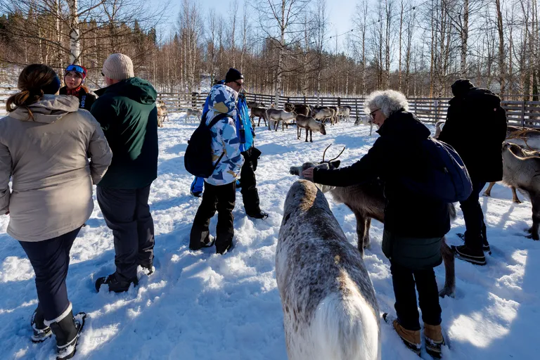 Övertorneå, Schweden – Reisefoto vom 9. März 2026, Aufnahme 40