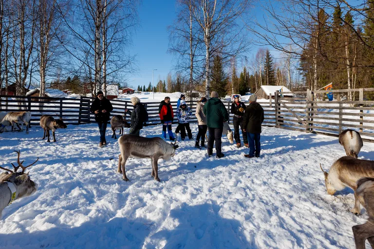 Övertorneå, Schweden – Reisefoto vom 9. März 2026, Aufnahme 45