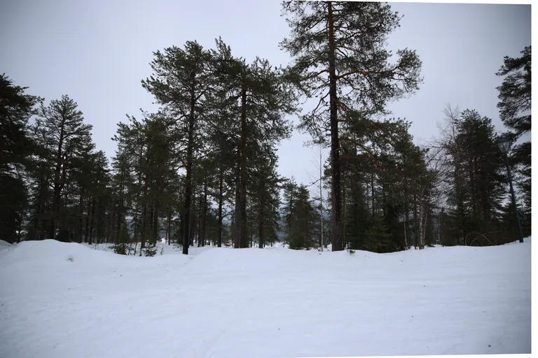 Ylläsjärvi, Finnland – Reisefoto vom 13. März 2026, Aufnahme 4