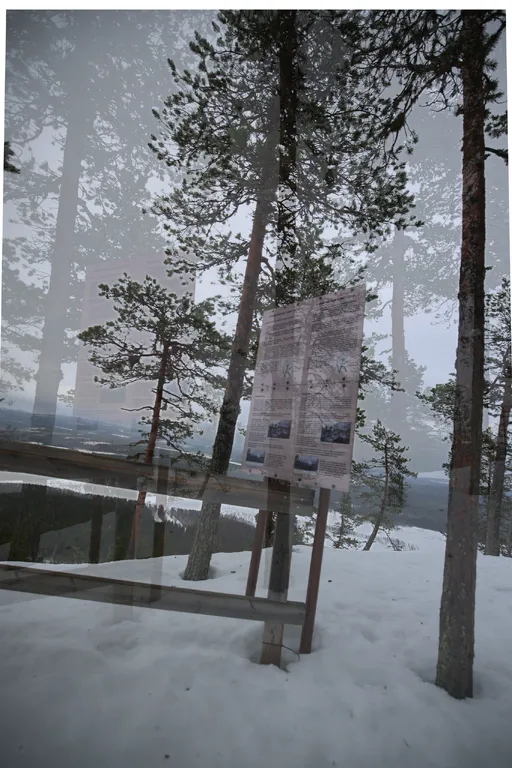 Ylläsjärvi, Finnland – Reisefoto vom 13. März 2026, Aufnahme 7